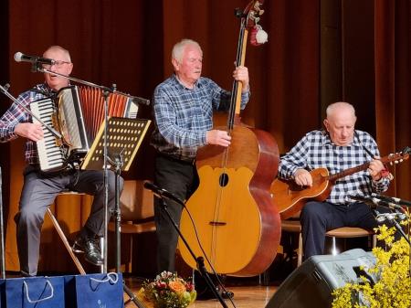 Festival tamburaških skupin 11